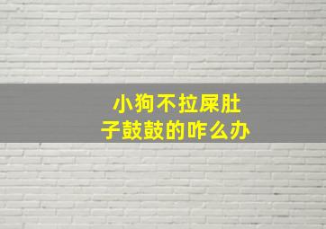 小狗不拉屎肚子鼓鼓的咋么办