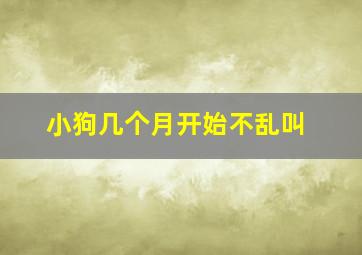 小狗几个月开始不乱叫