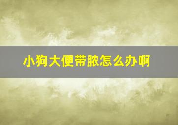 小狗大便带脓怎么办啊