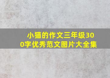 小猫的作文三年级300字优秀范文图片大全集