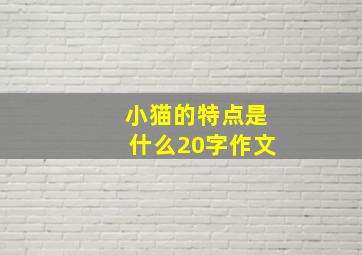 小猫的特点是什么20字作文