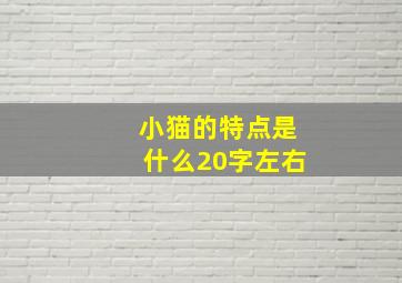 小猫的特点是什么20字左右