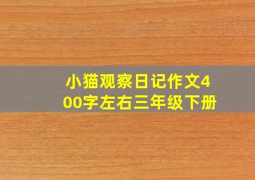 小猫观察日记作文400字左右三年级下册