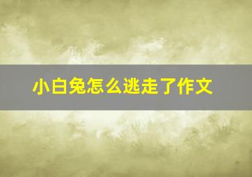 小白兔怎么逃走了作文