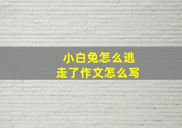 小白兔怎么逃走了作文怎么写