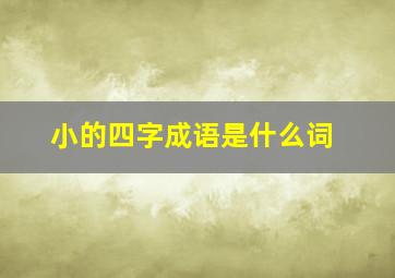 小的四字成语是什么词