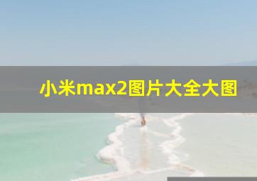 小米max2图片大全大图