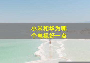 小米和华为哪个电视好一点