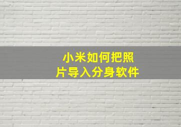 小米如何把照片导入分身软件