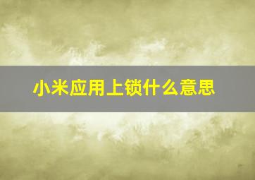 小米应用上锁什么意思