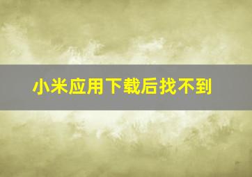 小米应用下载后找不到