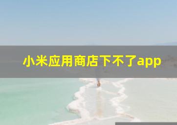 小米应用商店下不了app