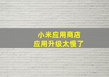 小米应用商店应用升级太慢了