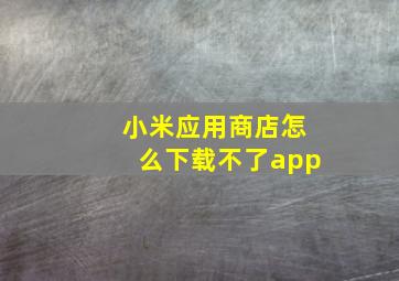 小米应用商店怎么下载不了app