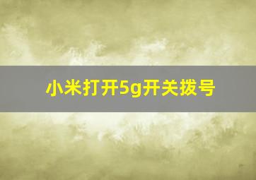 小米打开5g开关拨号