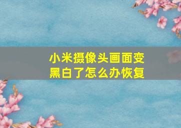 小米摄像头画面变黑白了怎么办恢复