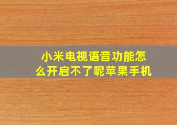 小米电视语音功能怎么开启不了呢苹果手机