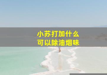 小苏打加什么可以除油烟味