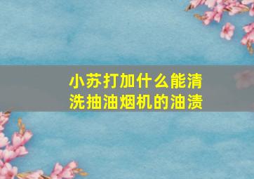 小苏打加什么能清洗抽油烟机的油渍