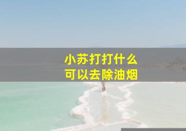 小苏打打什么可以去除油烟