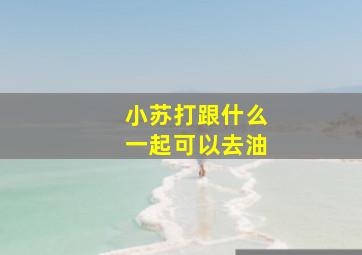 小苏打跟什么一起可以去油