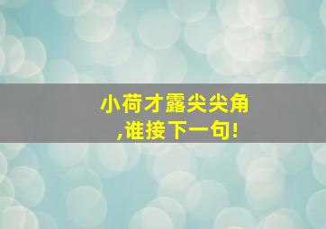 小荷才露尖尖角,谁接下一句!