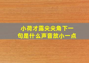 小荷才露尖尖角下一句是什么声音放小一点