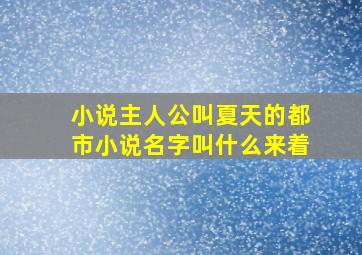 小说主人公叫夏天的都市小说名字叫什么来着