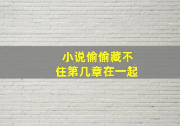 小说偷偷藏不住第几章在一起