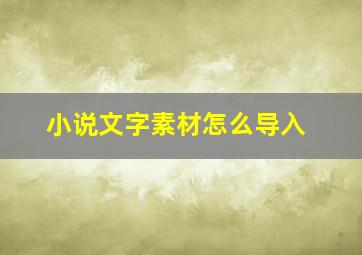 小说文字素材怎么导入