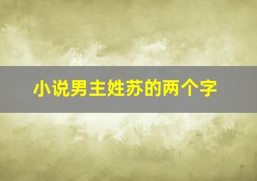 小说男主姓苏的两个字