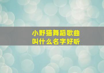 小野猫舞蹈歌曲叫什么名字好听