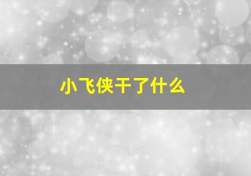 小飞侠干了什么