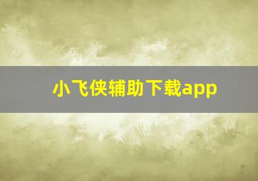 小飞侠辅助下载app