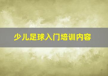 少儿足球入门培训内容