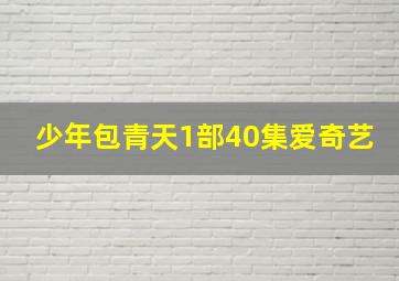 少年包青天1部40集爱奇艺