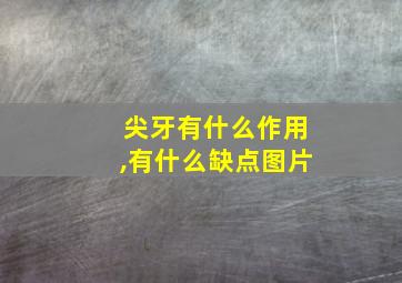 尖牙有什么作用,有什么缺点图片