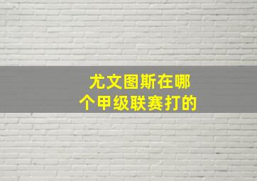 尤文图斯在哪个甲级联赛打的