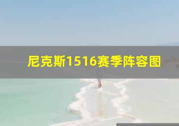 尼克斯1516赛季阵容图