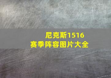 尼克斯1516赛季阵容图片大全