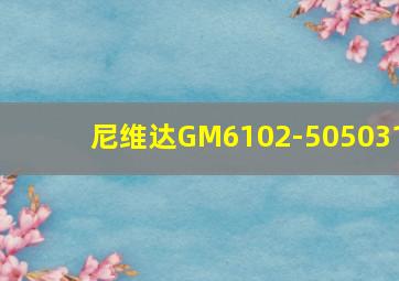 尼维达GM6102-505031