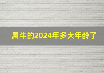 属牛的2024年多大年龄了