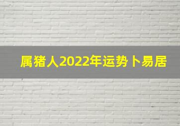 属猪人2022年运势卜易居