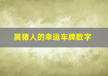 属猪人的幸运车牌数字