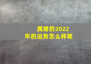 属猪的2022年的运势怎么样呢