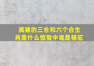 属猪的三合和六个合生肖是什么惊蛰中谁是骆驼