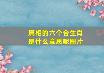 属相的六个合生肖是什么意思呢图片