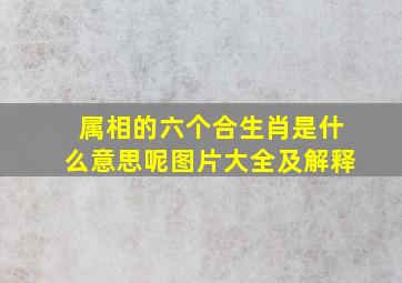 属相的六个合生肖是什么意思呢图片大全及解释