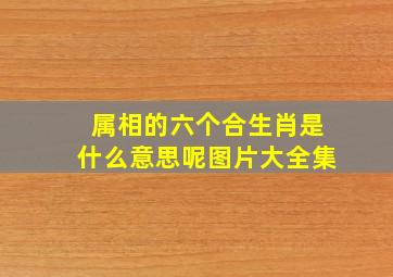 属相的六个合生肖是什么意思呢图片大全集