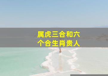 属虎三合和六个合生肖贵人